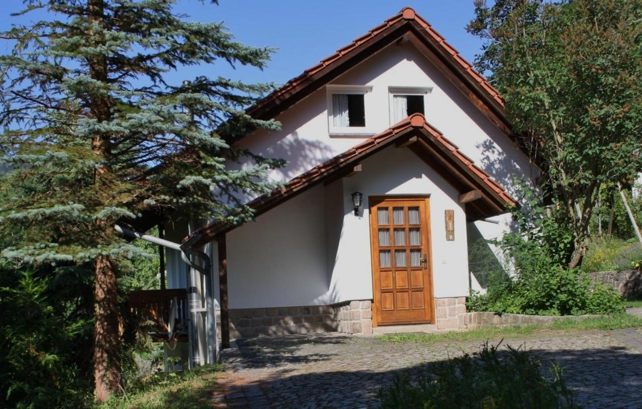 Ferienhaus "Am Schleifenbach" Saalfeld Saale Exterior foto